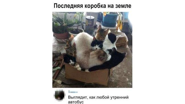 ..да и вечерний тоже 😄