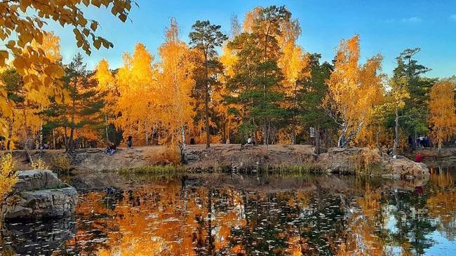 Доброе утро, друзья! ☕ Вот и наступил экватор рабочей недели... 🤗Желаем всем отличной среды и солнечного настроения! 😉