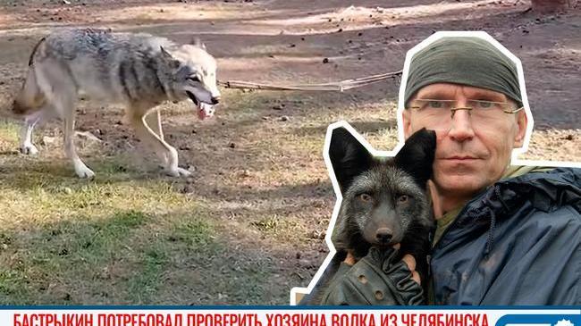 😨 Глава СК России поручил проверить скандальный зверинец в парке Челябинска 