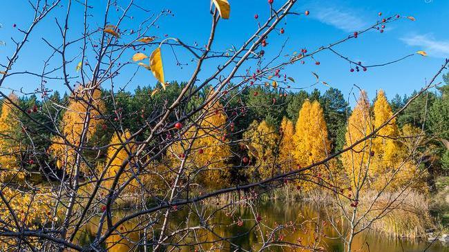 Доброе утро, Челябинск! 🤗