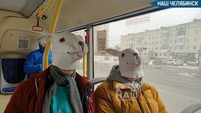 🚌 406 безбилетников и огромные штрафы в челябинских автобусах