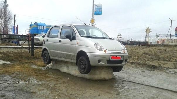 Терпеливо ждет весну  😄