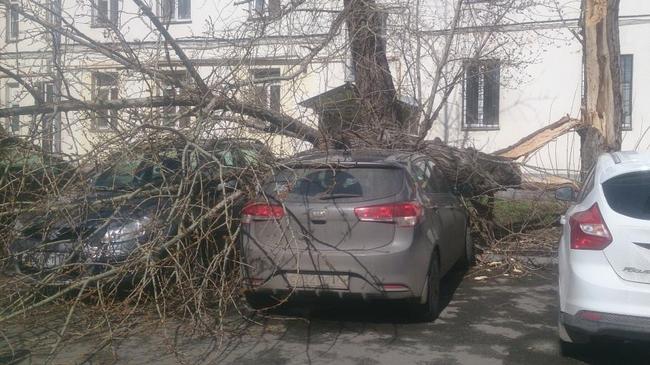 Сдувает: в Челябинске на машину упало дерево и с корнем вырвало рекламный щит