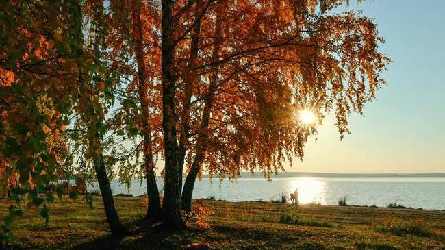 🍁Золотая осень на Шершнях 🍁