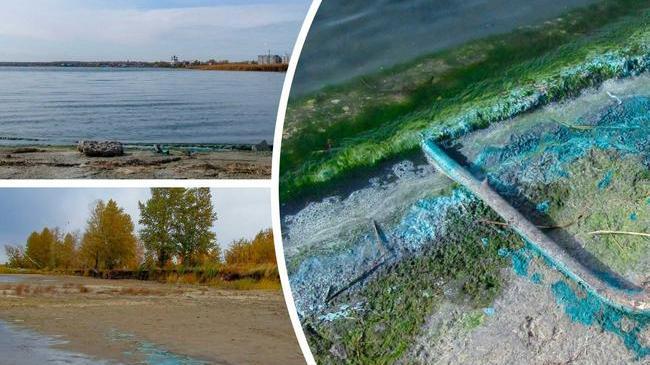 ❗Накануне мы писали о странной бирюзовой субстанции на озере Смолино. В Минэкологии прокомментировали ситуацию.