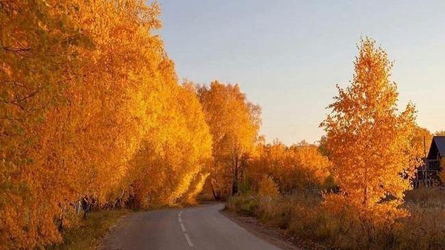 Доброе утро, Челябинск 🍁 ☀️ 