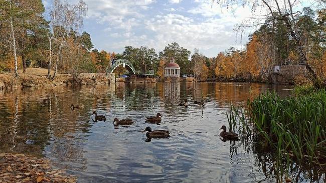 🦆 Осенний парк Гагарина