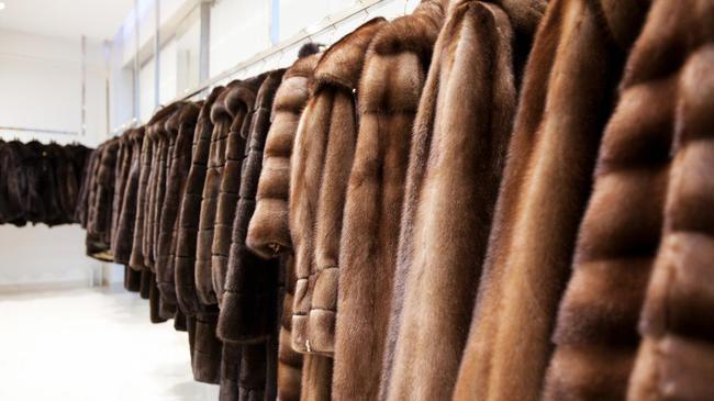 Шуба подождет: челябинские приставы за долги арестовали у предпринимателя меховой товар на 42,6 миллиона рублей
