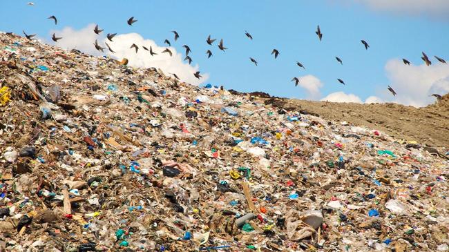 10 миллионов – в мусор: на миасских чиновников завели дело за траты на проект свалки