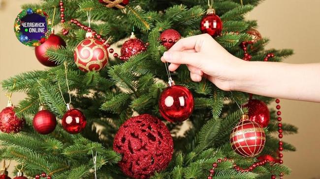 🎄 С 1 января вступят в силу новые правила установки ёлки.