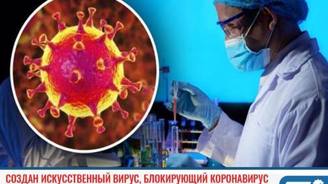 ⚡Создан искусственный вирус, блокирующий коронавирусные инфекции 