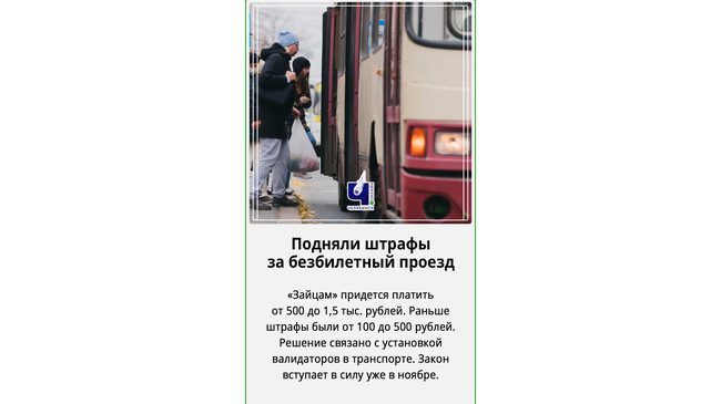 🐇🚌 Проехать "зайцем" выйдет недешево