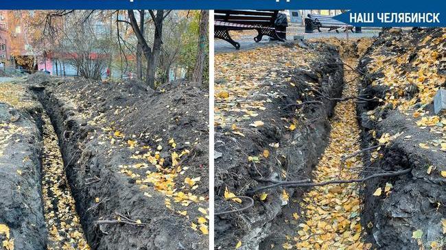 🌳"Благоустройство" Калининского района: освещение вместо деревьев 