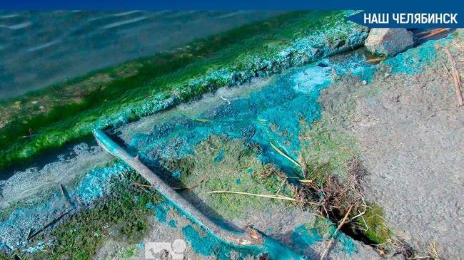 😨 Жители Челябинска заметили странную бирюзовую субстанцию на берегу озера Смолино. ❗ Больше фото в источнике поста. 👇🏻