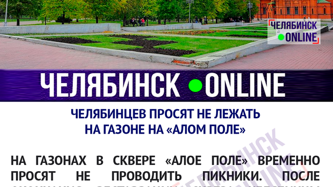 Горожан просят немного потерпеть, пока «зеленый ковер» окрепнет.🌿