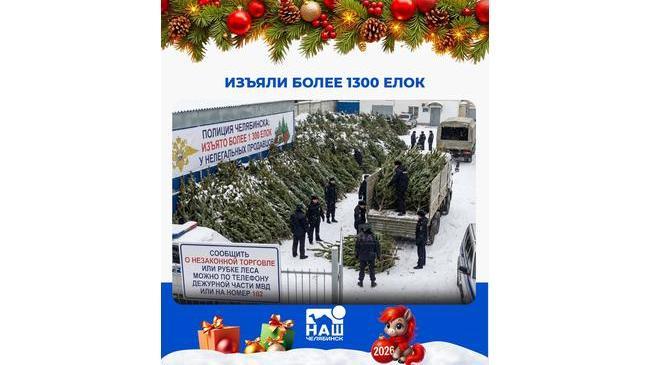 🌲В Челябинске полиция изъяла более 1 300 елок у нелегальных продавцов