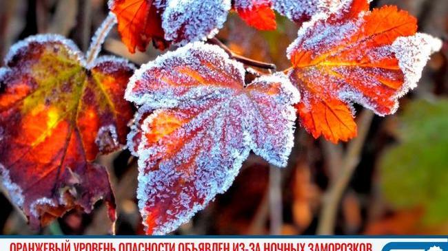 ⚡⚡ Оранжевый уровень опасности объявлен в Челябинской области из-за ночных заморозков 
