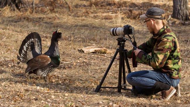 Челябинцев приглашают принять участие во всемирной переписи птиц