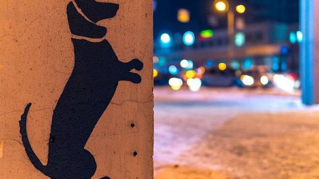 Вот такие красивые уголки есть в нашем городе...☺