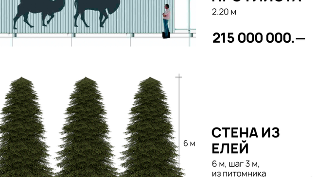 🌲 Челябинский урбанист предложил высадить ели вместо шумозащитных экранов   