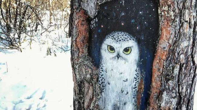 Клевая совушка в парке Гагарина 🦉