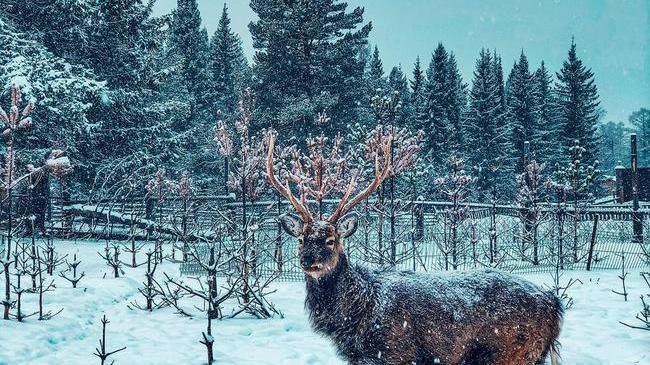 Зюраткуль ❄