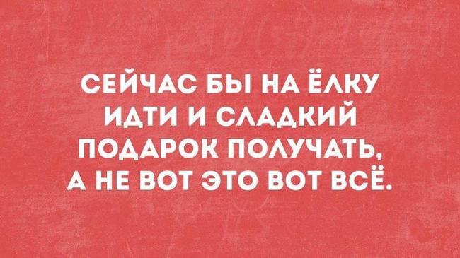 Сейчас бы на елку идти...