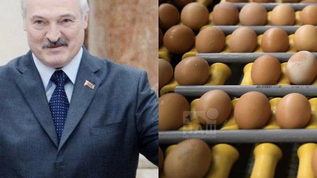 🥚 В Россию стали ввозить почти вдвое больше яиц из Беларуси