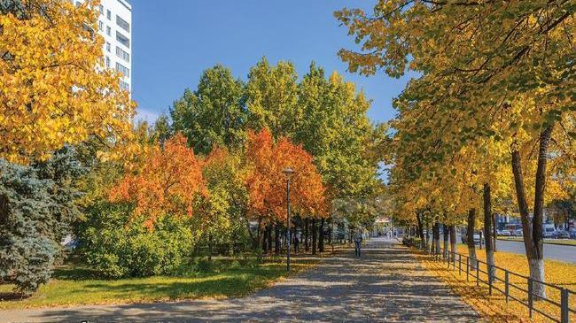 🍂 Октябрь в Челябинске будет тёплым