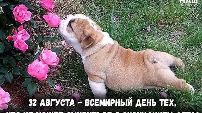 ❓ А вы уже смирились с окончанием лета? 😁