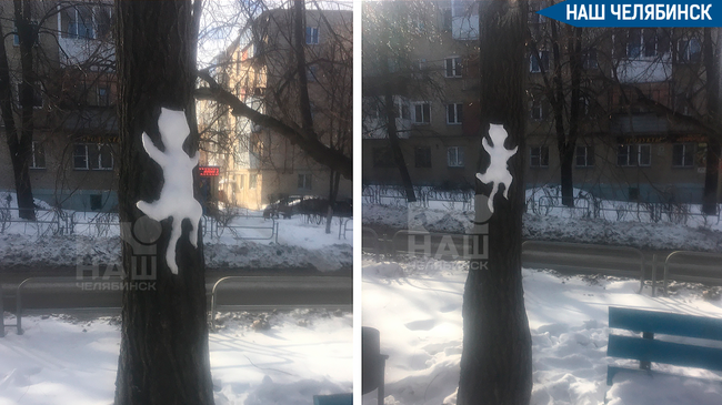 😸 На Южном Урале появились снежные коты 