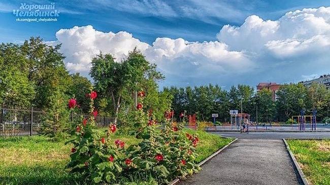 Доброе утро ☕️ 🧇 