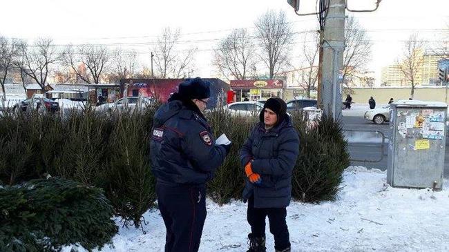 В Челябинске полиция проверяет точки торговли новогодними елками
