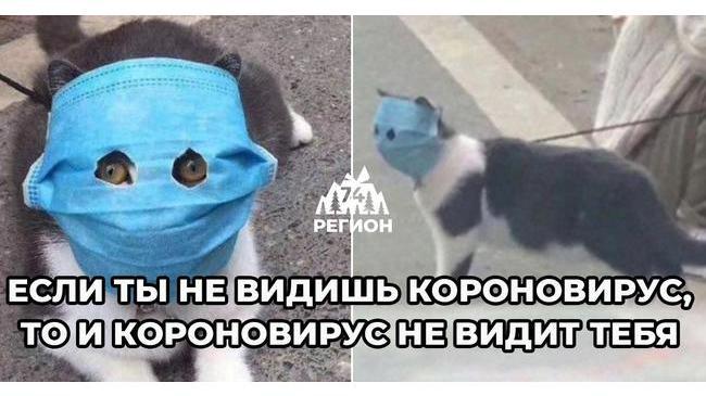 💉 В Челябинской области 12-14 июня пройдет очередной этап бесплатной вакцинации желающих от COVID-19. 