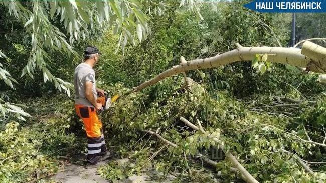 🌳 Улицы Ленинского района завалены деревьями после непогоды