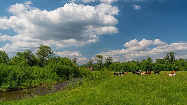 🌿Поселок Северные Печи. Берег реки Куштумга. А где в Челябинской области вы любите отдыхать на природе?