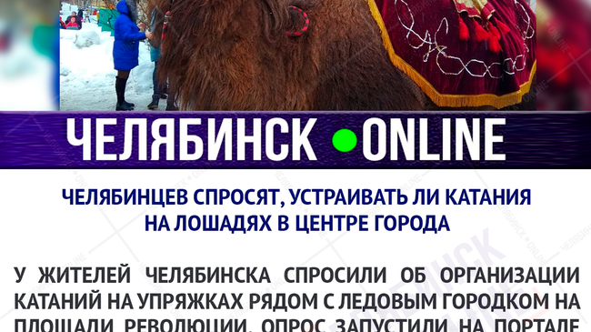 🐫 Челябинцы решат судьбу пони и верблюдов на площади Революции