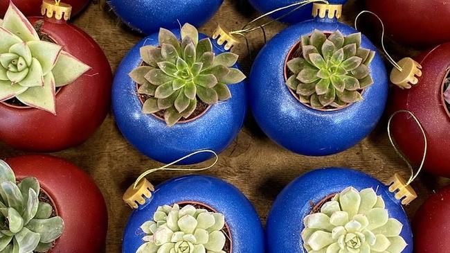 Челябинское изобретение — во всех «Магнитах» страны: в сети магазинов начали продавать елочные игрушки с растениями внутри