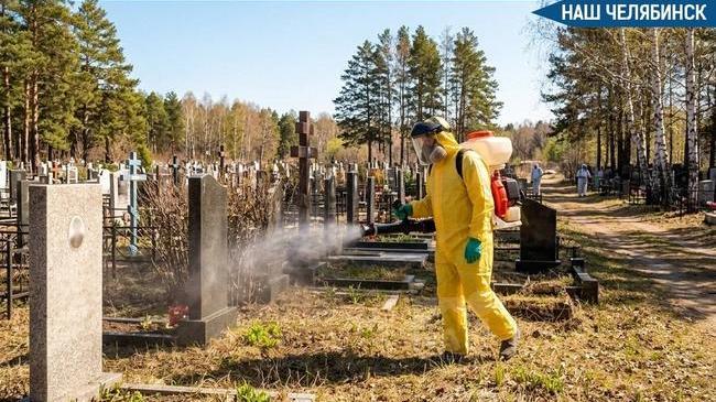 🕷️ В Челябинске перед Радоницей обработают кладбища против клещей
