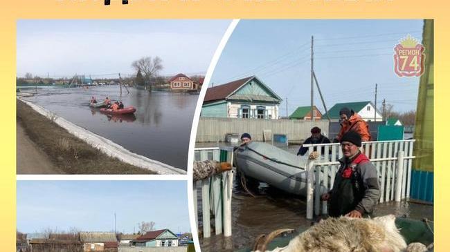 🌊 Спасатели эвакуируют людей и животных в Башкирии из-за паводка 