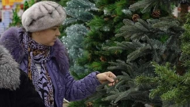 В декабре в Челябинске откроется 146 елочных базаров
