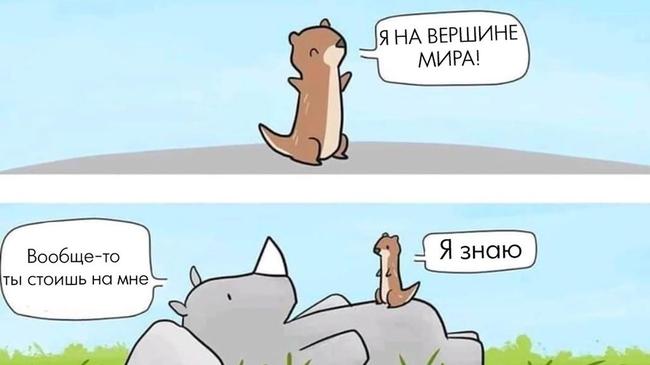 Это самое милое, что вы сегодня увидите: 