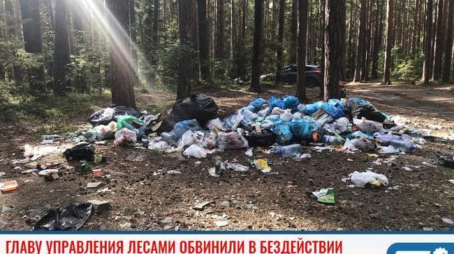 ❗ «Гражданский патруль» обвинил Главное управление лесами Челябинской области в бездействии 