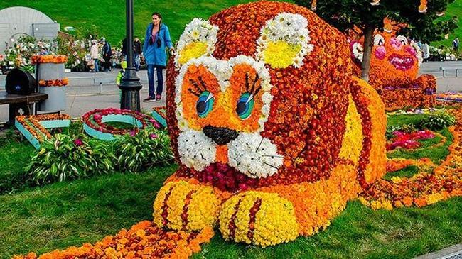 Город зацветет: в Челябинске устроят Праздник цветов