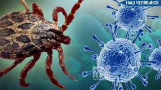 🕷️Клещи проснутся раньше и их будет больше?