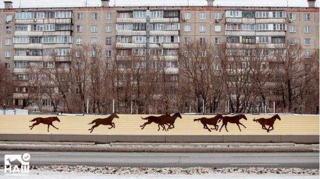 🐴 Защитные экраны с конями: на Меридиане раскрасили забор