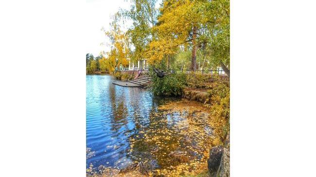 Осень в парке Гагарина 🍂🍁🍃