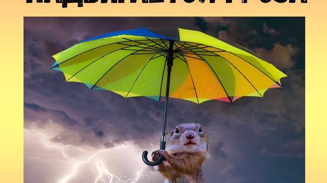 ⛈ Кто заказывал дожди? Получайте! 😃