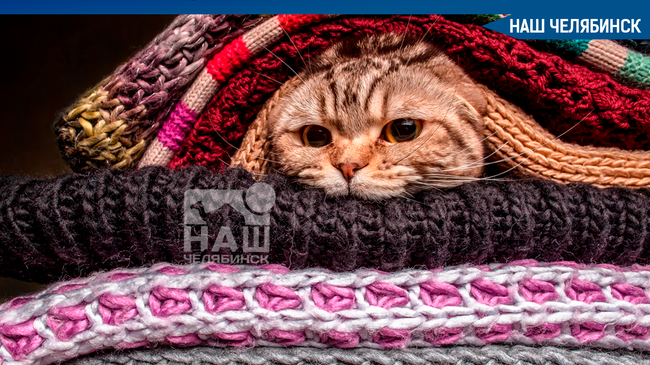 😡 Челябинцы массово жалуются на отключение отопления. 