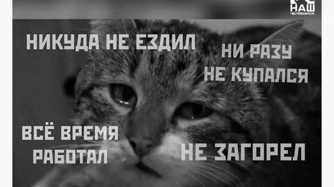 📅 Последний день лета, прощай август, завтра осень.
